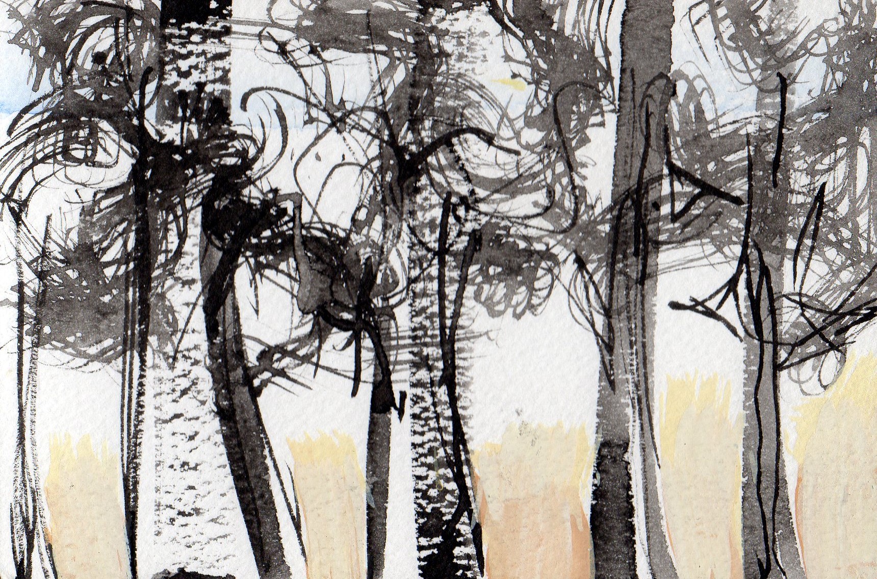 Sherwood Forest Trees VI